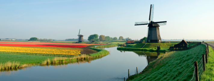 Screen Shot 2016-01-18 at 11.28.22 AM